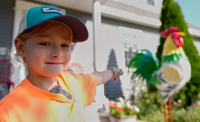 Pyper Leblanc shows her favorite tin rooster, one of dozens that now can be seen all over Ogunquit, Maine, Wednesday, July 22, 2026. (AP Photo/Robert F. Bukaty)