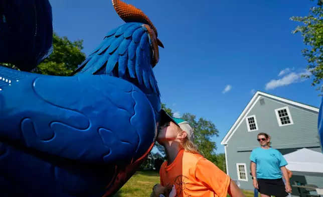 Pyper Leblanc kisses a tin rooster goodbye after a visit to the Hilton Winn Farm in Ogunquit, Maine, Wednesday, July 22, 2026. (AP Photo/Robert F. Bukaty)