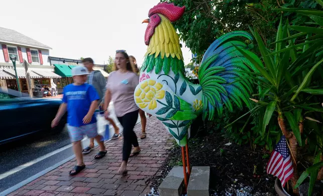 A large tin rooster stands alongside Main Street as a sign of solidarity for a young girl with autism in Ogunquit, Maine, Wednesday, July 22, 2026. (AP Photo/Robert F. Bukaty)