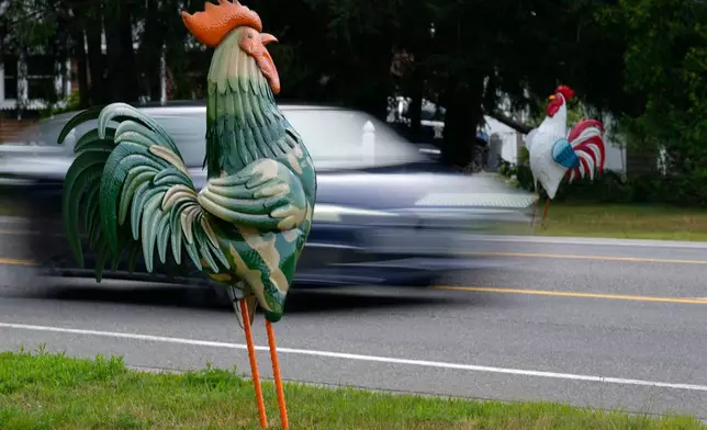 Tin roosters flank Rte. 1 in Wells, Maine, Wednesday, July 22, 2026. (AP Photo/Robert F. Bukaty)