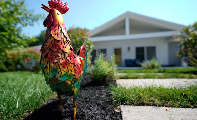 A small rooster stands outside a home as a sign of solidarity for a young girl with autism in Ogunquit, Maine, Wednesday, July 22, 2026. (AP Photo/Robert F. Bukaty)