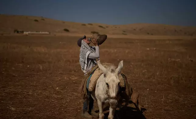 Ahmad, 15, drinks water after being stopped by Israeli soldiers while grazing his flock near his community in the northern Jordan Valley in the occupied West Bank, Wednesday, June 24, 2026. (AP Photo/Leo Correa)