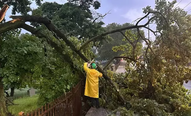 In this photo provided by the City of Jersey City, a city official inspects a damaged tree in Jersey City, N.J., Thursday, Aug. 20, 2026, after storms went through the area. (City of Jersey City via AP)