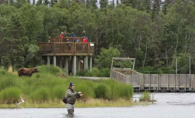FILE - A bear walks between a viewing stand and an angler fisherman at Katmai National Park and Preserve, Alaska on July 4, 2013. (AP Photo/Mark Thiessen, File)