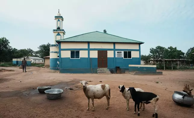 Goats roam near cooking pots at the village of In N'dali, northern Benin, Sunday, May. 17, 2026. (AP Photo/Sunday Alamba)