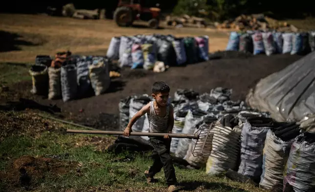Yakoub Durak carries a rake to help his father Mehmet Durak tend to the kilns at a charcoal production site in a forest in Kocaeli province, Turkey, Tuesday, Aug. 25, 2026. A handful of family-run producers continue the region’s traditional practice of slowly carbonizing hardwood in earthen kilns to make charcoal for barbecues and restaurants. (AP Photo/Khalil Hamra)