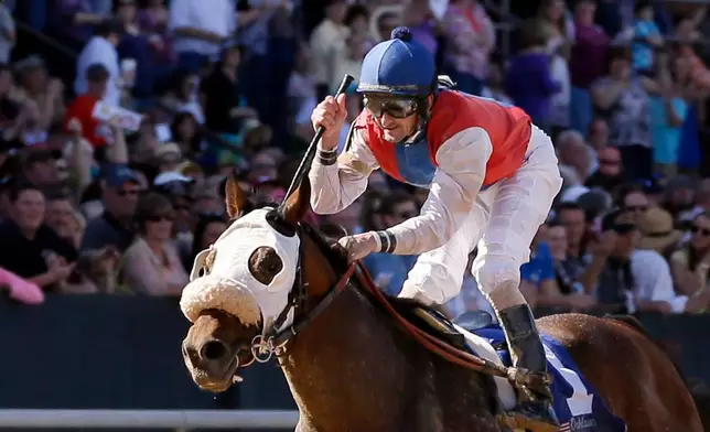 FILE - Jockey Robby Albarado raises his whip aboard Cyber Secret after crossing the finish line to win the Oaklawn Handicap horse race at Oaklawn Park in Hot Springs, Ark., April 13, 2013. (AP Photo/Danny Johnston, File)