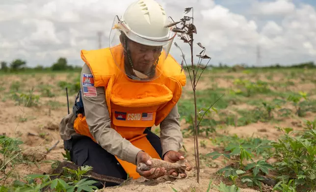 Sun Theary, a member of an explosive ordnance disposal team, picks-up a 60mm mortar round in Siem Reap, Cambodia on Thursday, July 2, 2026. (AP Photo/Anton L. Delgado)
