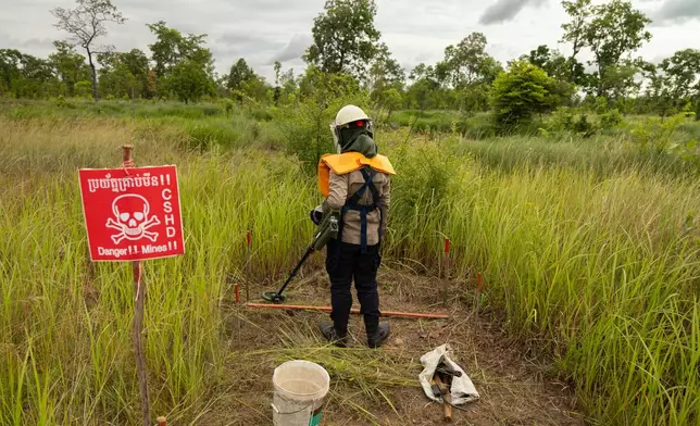 A deminer uses a metal detector to clear a landmine field in Siem Reap, Cambodia, Thursday, July 2, 2026. (AP Photo/Anton L. Delgado)