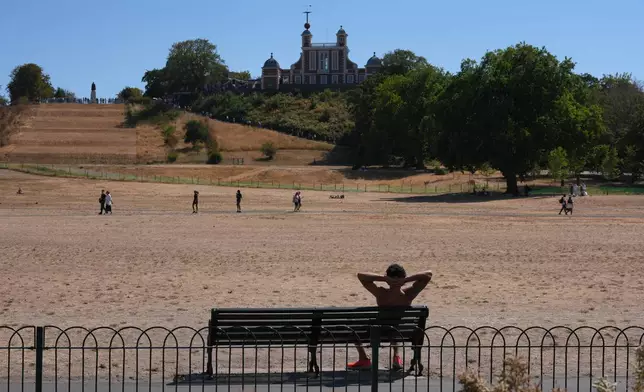 A man sits on a bench in Greenwich Park amid dried grass in London, Tuesday, Aug. 11, 2026. (AP Photo/Kin Cheung)