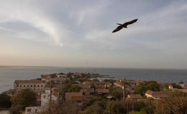 A bird flies over Goree Island, in Senegal, Thursday, March 12, 2026. (AP Photo/Caitlin Kelly)