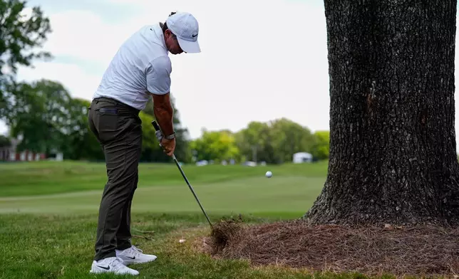 Rory McIlroy, of Northern Ireland, hits around a tree on the seventh fairway during the second round of the St. Jude Championship golf tournament Friday, Aug. 14, 2026, in Memphis, Tenn. (AP Photo/George Walker IV)