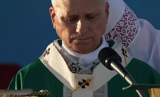 Pope Leo XIV celebrates a Mass at Rimini's harbor, Saturday, Aug. 22, 2026. (AP Photo/Andrew Medichini)