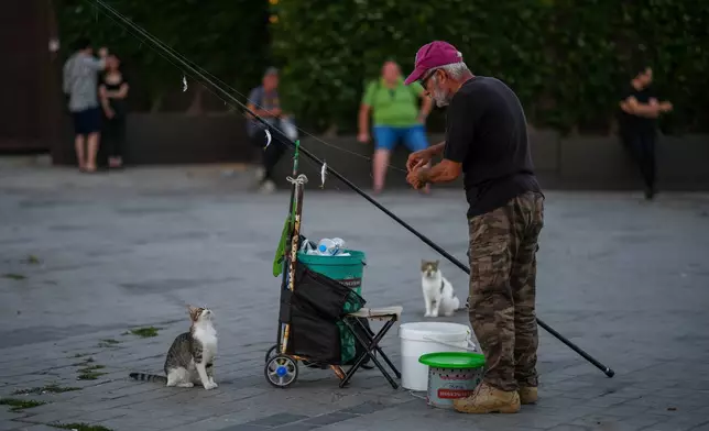 Stray cats wait next to a fisherman at Karakoy sea promenade in Istanbul, Turkey, Wednesday, June 24, 2026. (AP Photo/Emrah Gurel)