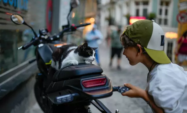 A youngster plays with a cat near Galata tower in Istanbul, Turkey, Tuesday, June 30, 2026. (AP Photo/Emrah Gurel)