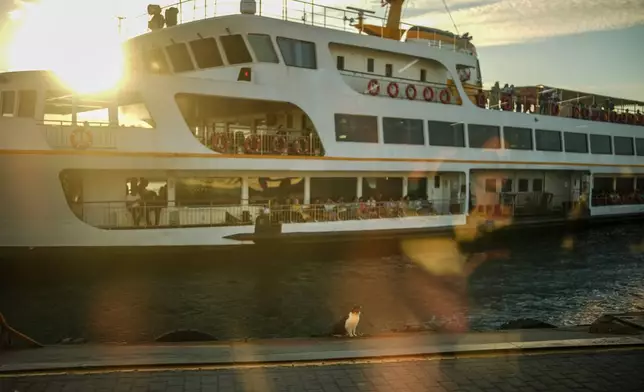 A cat sits on the edge of a dock as a ferry arrives to Kadikoy ferry terminal crossing the Bosphorus strait in Istanbul, Turkey, Wednesday, June 17, 2026. (AP Photo/Emrah Gurel)