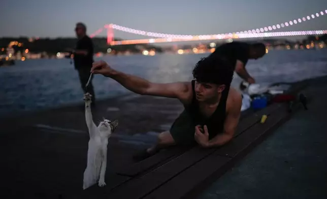A fisherman feeds a cat at the Emirgan sea promenade next to the Bosporus in Istanbul, Turkey, Friday, June 26, 2026. (AP Photo/Emrah Gurel)