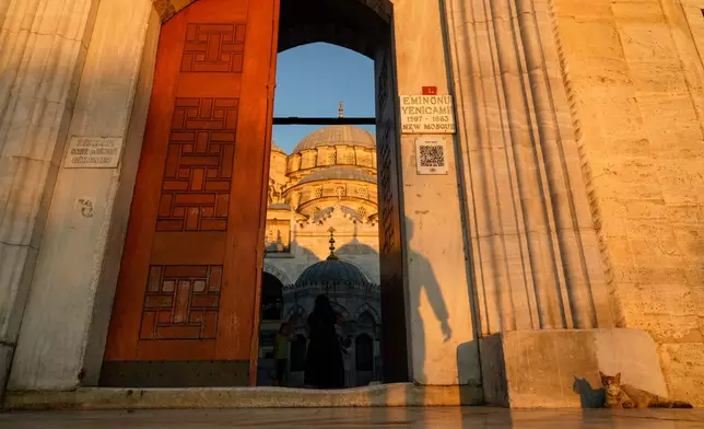 A stray cat sits in front of the historic Yeni mosque at Eminonu district in Istanbul, Turkey, Wednesday, June 24, 2026. (AP Photo/Emrah Gurel)