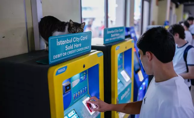 A cat sits on top of an Istanbul travel ticket machine at Kadikoy ferry terminal in Istanbul, Turkey, Monday, July 13, 2026. (AP Photo/Emrah Gurel)