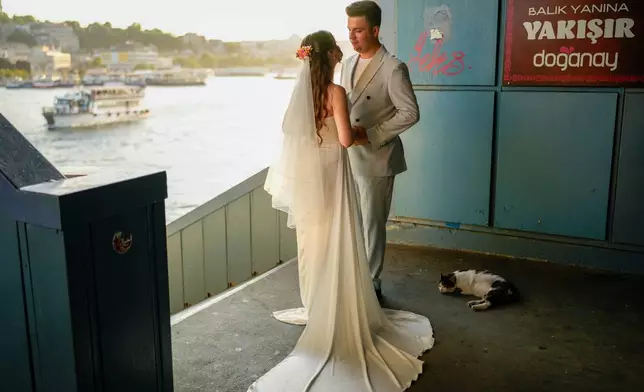 A cat sleeps next newlyweds during their photo session at Galata bridge in Istanbul, Turkey, Tuesday, July 21, 2026. (AP Photo/Emrah Gurel)