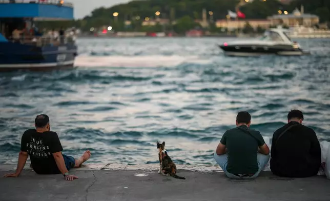 A stray cat sits next to people at the Karakoy sea promenade by the Bosphorus in Istanbul, Turkey, Wednesday, June 24, 2026.(AP Photo/Emrah Gurel)