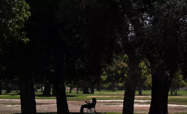 A person sits in the shade of trees in a nearly empty park in Los Angeles, Friday, July 31, 2026. (AP Photo/Jae C. Hong)