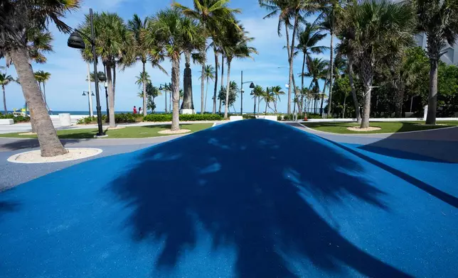 A shadow of a palm tree is cast on a playscape at DC Alexander Park, a former parking lot that was transformed into a public space that doubles as flood infrastructure, Tuesday, June 30, 2026, in Fort Lauderdale, Fla. (AP Photo/Lynne Sladky)