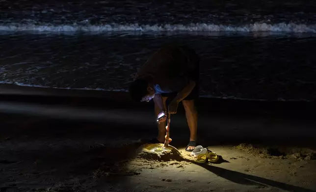 A man takes a closer look at a sea creature bought from local fishers' catch on the beach of Rongshanliao village on southern China's Hainan province on Sunday, Aug. 23, 2026. (AP Photo/Ng Han Guan)