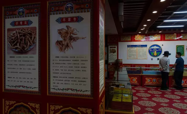 Posters detail the herbs used in traditional Tibetan medicine produced by the Xizang Gansu Tibetan Medicine Co. Ltd in Lhasa, in western China's Tibet Autonomous Region on Wednesday, July 22, 2026 as seen during a government organized visit for foreign journalists. (AP Photo/Ng Han Guan)
