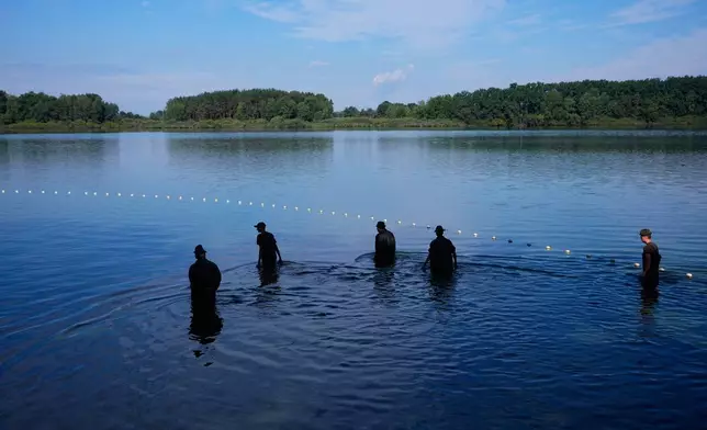 Fishermen take part in a fish haul of the Kanov pond near the town of Trebon, Czech Republic, Wednesday, Aug. 26, 2026. (AP Photo/Petr David Josek)