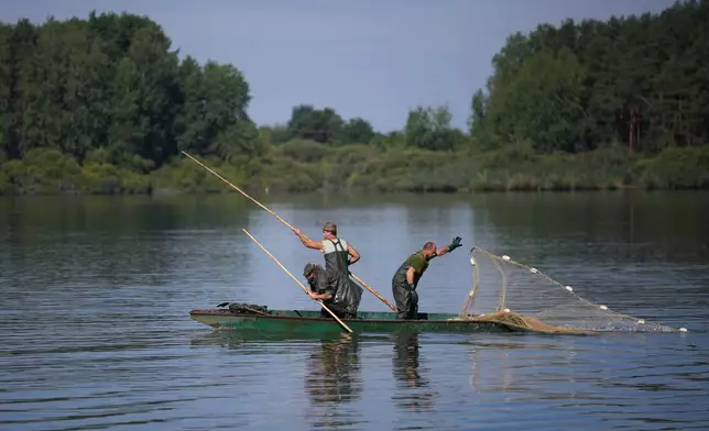 Fishermen throw nets during a fish haul of the Kanov pond near the town of Trebon, Czech Republic, Wednesday, Aug. 26, 2026. (AP Photo/Petr David Josek)