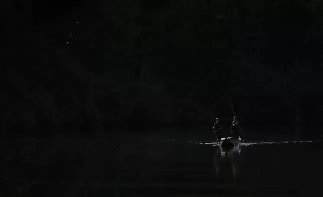 Fishermen take part in a fish haul of the Kanov pond near the town of Trebon, Czech Republic, Wednesday, Aug. 26, 2026. (AP Photo/Petr David Josek)