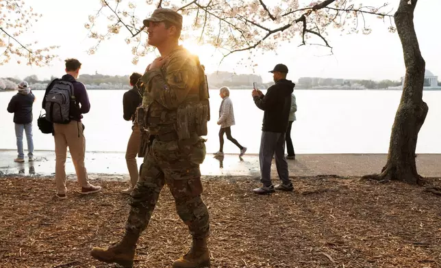FILE - A member of the Mississippi National Guard walks among the cherry blossom trees along the tidal basin on the National Mall on Thursday, March 26, 2026, in Washington. (AP Photo/Tom Brenner, File)
