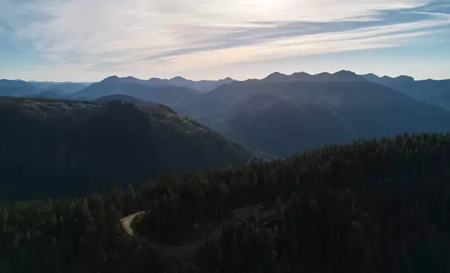 Logging roads wind through mountains near Port Renfrew, British Columbia, Thursday, May 28, 2026. (AP Photo/Annika Hammerschlag)