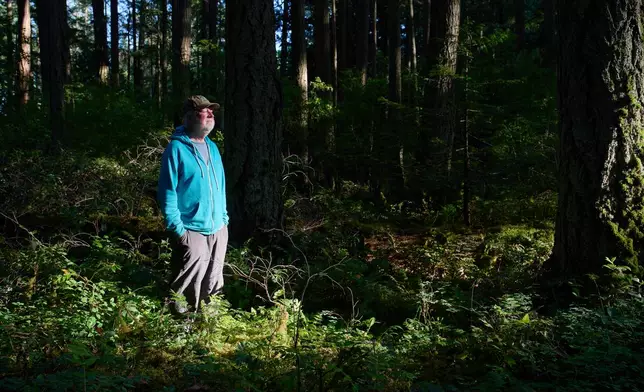 Andy MacKinnon, a forest ecologist, stands beneath the forest canopy near Victoria, British Columbia, Friday, May 29, 2026. (AP Photo/Annika Hammerschlag)