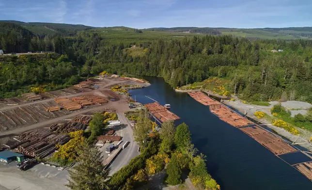 Logs float on the water in Jordan River, British Columbia, Wednesday, May 27, 2026. (AP Photo/Annika Hammerschlag)