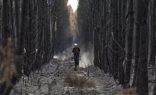 A firefighter walks through a charred forest near Blagon, during wildfires, southwestern France, Friday, July 31, 2026. (AP Photo/Baz Ratner)