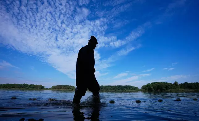 A fisherman takes part in a fish haul of the Kanov pond near the town of Trebon, Czech Republic, Wednesday, Aug. 26, 2026. (AP Photo/Petr David Josek)