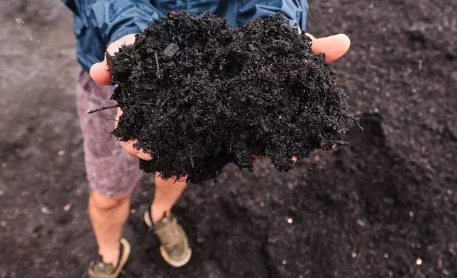 Justin Sandler holds up fresh compost, which was made from a variety of materials including cups, cutlery, bin liners and food scraps at Black Earth Compost, Monday, Aug. 3, 2026, in Manchester-by-the-Sea, Mass. (AP Photo/Charles Krupa)