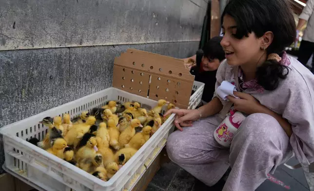 A girl looks at ducklings displayed by a street vendor in Tehran, Iran, Monday, Aug. 10, 2026. (AP Photo/Vahid Salemi)