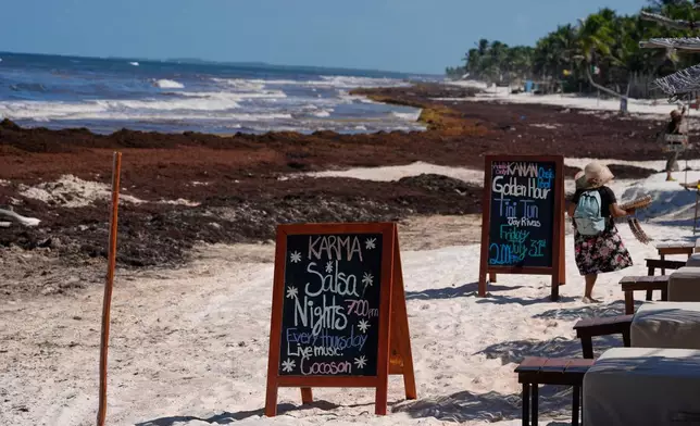 Promotional boards are displayed near to a beach covered with sargassum in Tulum, Mexico, Thursday, July 30, 2026. (AP Photo/Fernando Llano)