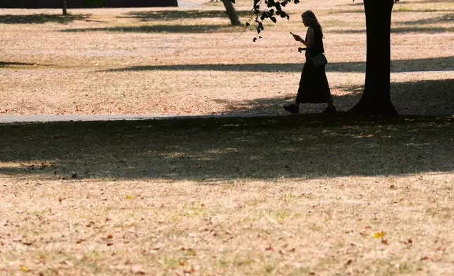 A woman is silhouetted as she walks through dried grass in Green Park on a hot day amid drought conditions in London, Monday, Aug. 3, 2026. (AP Photo/Kirsty Wigglesworth)