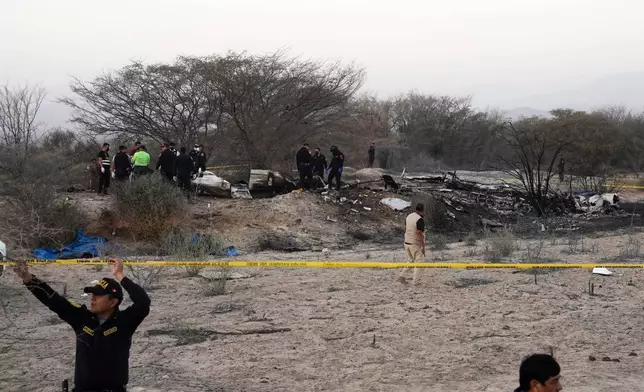 Police inspect the wreckage of a plane that crashed during a sightseeing flight carrying tourists over the Nazca Lines in Peru, Saturday, Aug. 1, 2026. (AP Photo/Genry Bautista)