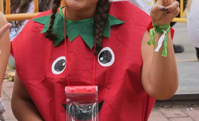 A reveler dressed in a tomato costume poses for a picture before the annual "Tomatina" tomato fight fiesta, in the village of Bunol near Valencia, Spain, Wednesday, Aug. 26, 2026. (AP Photo/Alberto Saiz)