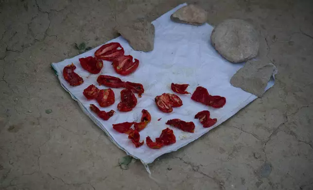 Tomatoes beginning to spoil are left to dry at Sima's home so they can be used later for cooking in Kabul, Afghanistan, Wednesday, Aug. 12, 2026. (AP Photo/Nava Jamshidi)