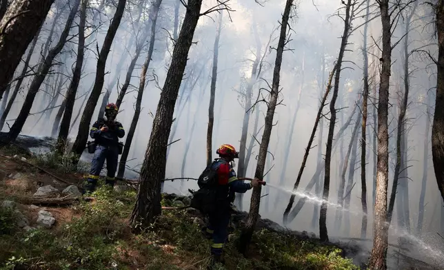 Firefirghters operate during a wildfire near Porto Germeno, north-west of Athens, Greece, Saturday, Aug. 1, 2026. (AP Photo/Michael Varaklas)