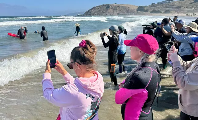 Spectators watch the surfing dogs during the World Dog Surfing Championships, Saturday, Aug. 1, 2026, in Pacifica, Calif. (AP Photo/Haven Daley)