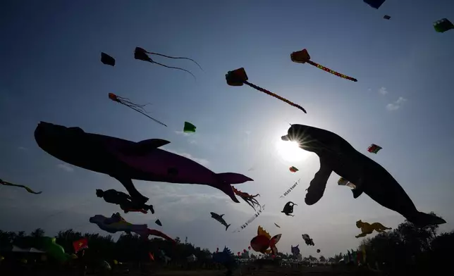 Participants fly kites during the fifth Tamil Nadu International Kite Festival, where around 30 professional kite flyers showcase more than 200 giant kites, in Mahabalipuram, India, Friday, Aug. 14, 2026. (AP Photo/Mahesh Kumar A.)