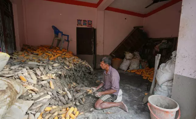 A farmer cleans his corn crop after flash floods in Nepal’s Nuwakot district on Saturday, Aug. 29, 2026. (AP Photo/Rajesh Kumar Singh)