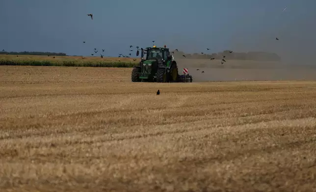 Farmer Maarten Janse drives his tractor on a drought stricken wheat field in Wolphaartsdijk, Netherlands, Tuesday, Aug. 11, 2026. (AP Photo/Virginia Mayo)